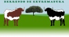 Berrendo de Extremadura