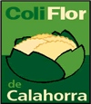 Coliflor de Calahorra